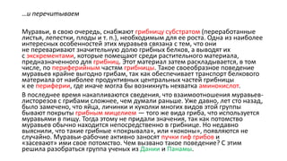 …и перечитываем
Муравьи, в свою очередь, снабжают грибницу субстратом (переработанные
листья, лепестки, плоды и т. п.), необходимым для ее роста. Одна из наиболее
интересных особенностей этих муравьев связана с тем, что они
не переваривают значительную долю грибных белков, а выводят их
с экскрементами, которые помещают среди растительного материала,
предназначенного для грибниц. Этот материал затем раскладывается, в том
числе, по периферийным частям грибницы. Такое своеобразное поведение
муравьев крайне выгодно грибам, так как обеспечивает транспорт белкового
материала от наиболее продуктивных центральных частей грибницы
к ее периферии, где иначе могла бы возникнуть нехватка аминокислот.
В последнее время накапливаются сведения, что взаимоотношения муравьев-
листорезов с грибами сложнее, чем думали раньше. Уже давно, лет сто назад,
было замечено, что яйца, личинки и куколки многих видов этой группы
бывают покрыты грибным мицелием — того же вида гриба, что используется
муравьями в пищу. Тогда этому не придали значения, так как потомство
муравьев обычно находится непосредственно в грибнице. Но недавно
выяснили, что такие грибные «покрывала», или «коконы», появляются не
случайно. Муравьи-рабочие активно заносят пучки гиф грибов и
«засевают» ими свое потомство. Чем вызвано такое поведение? С этим
решила разобраться группа ученых из Дании и Панамы.
 