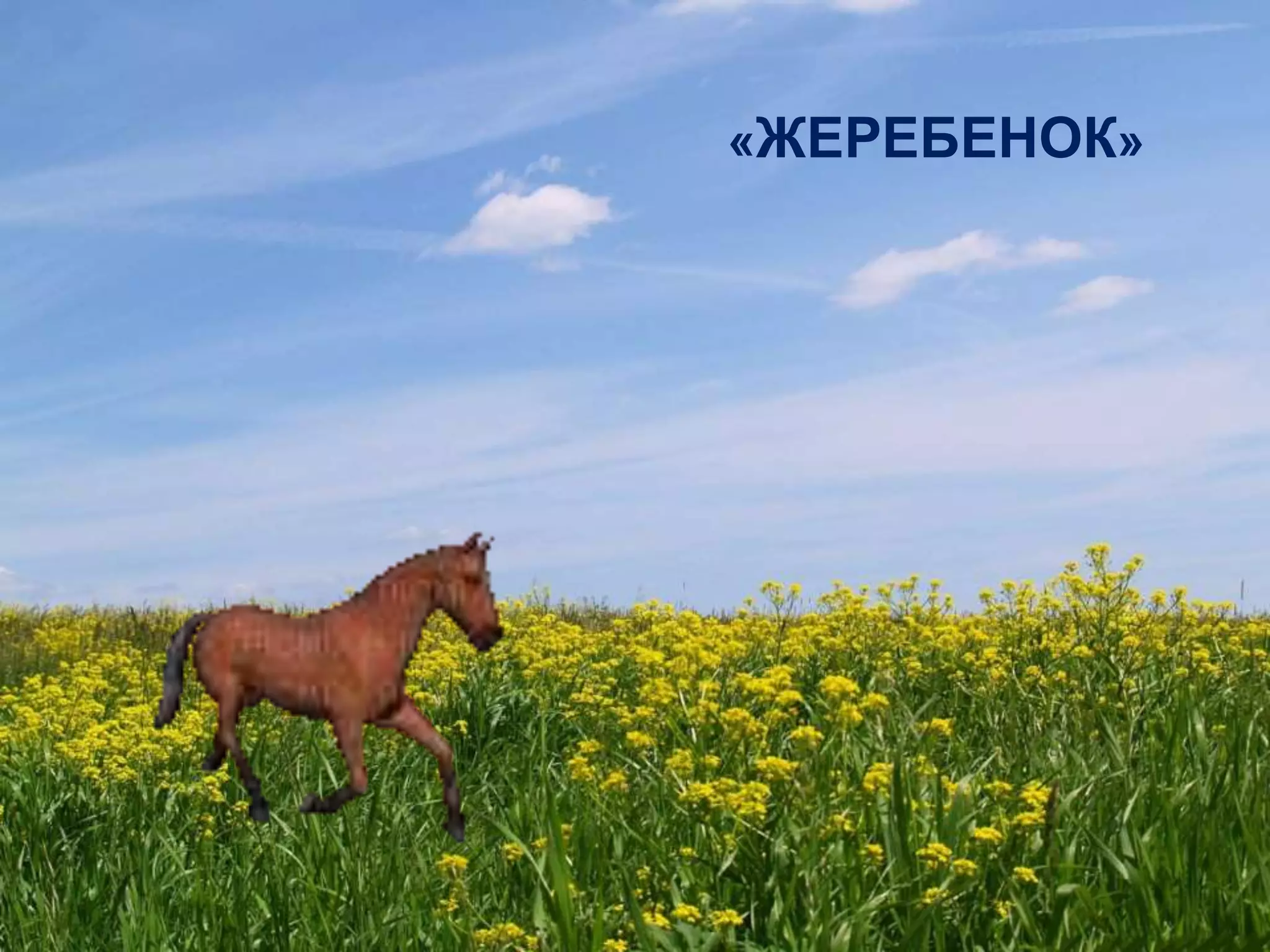 «ЖЕРЕБЕНОК»