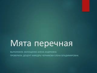 Мята перечная
ВЫПОЛНИЛА: ВОЛОЩЕНКО АЛЕНА АНДРЕЕВНА
ПРОВЕРИЛА: ДОЦЕНТ КАФЕДРЫ ЧЕРНИКОВА ЕЛЕНА ВЛАДИМИРОВНА
 