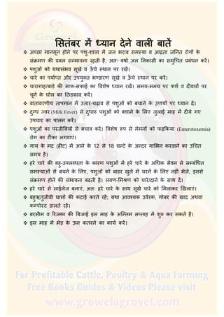  अ छा मानसून होने पर पशु-शाला म जल भराव सम या व आद्रता जिनत रोग के
संक्रमण की प्रबल स भावना रहती है, अतः वषार् जल िनकासी का समुिचत प्रबंधन कर।
 पशुओं को यथासंभव सूखे व ऊँ चे थान पर रख।
 चारे का पयार् त और उपयुक्त भ डारण सूखे व ऊँ चे थान पर कर।
 चारागाह/बाड़े की साफ-सफाई का िवशेष यान रख। समय-समय पर फशर् व दीवार पर
चूने के घोल का िछड़काव कर।
 वातावरणीय तापमान म उतार-चढ़ाव से पशुओं को बचाने के उपाय पर यान द।
 दुग्ध वर (Milk Fever) से दुधा पशुओं को बचाने के िलए जुलाई माह म दीये गए
उपचार का पालन कर।
 पशुओं का परजीिवय से बचाव कर। िवशेष प से मेमन को फड़िकया (Enterotoxemia)
रोग का टीका लगवाएं।
 गाय के मद (हीट) म आने के 12 से 18 घ टे के अ दर गािभन करवाने का उिचत
समय है।
 हरे चारे की बहु-उपल धता के कारण पशुओं म हरे चारे के अिधक सेवन से स बंिधत
सम याओं से बचने के िलए, पशुओं को बाहर खुले म चरने के िलए नहीं भेजे, इससे
संक्रमण होने की संभावना बढती है। लवण-िम ण को चारे/दाने के साथ द।
 हरे चारे से साईलेज बनाएं, अतः हरे चारे के साथ सूखे चारे को िमलाकर िखलाएं।
 बहुऋतुजीवी घास की कटाई करते रह; यथा आव यक उवर्रक, गोबर की खाद अथवा
क पो ट डालते रह।
 बरसीम व िरजका की िबजाई इस माह के अि तम स ताह म शु कर सकते है।
 इस माह म भेड़ के ऊन कतरने का कायर् कर।
 