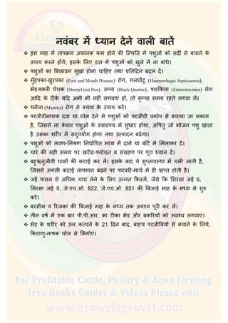  इस माह म तापक्रम अचानक कम होने की ि थित म पशुओं को सदीर् से बचाने के
उपाय करने ह ग, इसके िलए रात म पशुओं को खुले म ना बांधे।
 पशुओं का िबछावन सूखा होना चािहए तथा प्रितिदन बदल द।
 मुँहपका-खुरपका (Foot and Mouth Disease) रोग, गलघ टू (Haemorrhagic Septicaemia),
भेड़/बकरी चेचक (Sheep/Goat Pox), ठ पा (Black Quarter), फड़िकया (Enterotoxemia) रोग
आिद के टीके यिद अभी भी नहीं लगवाएं ह , तो कृ या समय रहते लगवा ल।
 थनैला (Mastitis) रोग से बचाव के उपाय कर।
 परजीवीनाशक दवा या घोल देने से पशुओं को परजीवी प्रकोप से बचाया जा सकता
है, िजससे ना के वल पशुओं के वा य म सुधार होगा, अिपतु जो भोजन पशु खाता
है उसका शरीर म सदुपयोग होगा तथा उ पादन बढ़ेगा।
 पशुओं को लवण-िम ण िनधार्िरत मात्रा म दाने या बाँट म िमलाकर द।
 चारे की सही समय पर खरीद-फरोख्त व संग्रहण पर पूरा यान द।
 बहुऋतुजीवी घास की कटाई कर ल। इसके बाद ये सु ताव था म चली जाती है,
िजससे अगली कटाई तापमान बढ़ने पर फरवरी-माचर् म ही प्रा त होती है।
 जई फसल से अिधक चारा लेने के िलए उ नत िक म, जैसे िक िसरसा जई 6,
िसरसा जई 9, जे.एच.ओ. 822, जे.एच.ओ. 851 की िबजाई माह के म य से शु
कर।
 बरसीम व िरजका की िबजाई माह के म य तक अव य पूरी कर ल।
 तीन वषर् म एक बार पी.पी.आर. का टीका भेड़ और बकिरय को अव य लगवाएं।
 भेड़ के शरीर को ऊन कतरने के 21 िदन बाद, बा य परजीिवय से बचाने के िलये,
िकटाणु-नाषक घोल से िभगोएं।
 