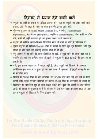  पशुओं का सदीर् से बचाव का उिचत प्रब ध कर। रात म पशुओं को अंदर गमीर् वाले
थान, जैसे िक छत के नीचे या घास-फू स की छ पर तले बांध।
 मुँहपका-खुरपका (Foot and Mouth Disease) रोग, गलघ टू (Haemorrhagic
Septicaemia), भेड़ चेचक (Sheep Pox), फड़िकया (Enterotoxemia) रोग आिद के टीके
यिद अभी भी नहीं लगवाएं ह , तो कृ पया समय रहते लगवा ल।
 पशुओं को खिनज लवण-िम ण िनधार्िरत मात्रा म दाने या बाँट म िमलाकर द।
 दुधा पशुओं को थनैला (Mastitis) रोग से बचाने के िलए पूरा दूध िनकाल, और दुध
दोहने के बाद थन को कीटाणु नाशक घोल म धो ल।
 पशु आहार म हरे चारे की मात्रा िनयंित्रत ही रख, व सूखे चारे की मात्रा बढ़ा कर द,
क्य िक हरे चारे को अिधक मात्रा म खाने से पशुओं म द त इ यादी की सम या हो
सकती है।
 यिद इस समय वातावरण म बादल नहीं है, और पशुओं को िखलाने के प चात
अितिरक्त हरा चारा बचा हुआ हो, तो उसे छाया म सुखाकर ‘हे’(सूखी घास) के प
म संरिक्षत कर।
 िबजाई के 50-55 िदन के बाद बरसीम, एवं 55-60 िदन बाद जई की चारे के िलए
कटाई कर। इसके प चात बरसीम की कटाई 25-30 िदन के अ तराल पर करते रह।
 िदस बर की चटकीली धुप म चारा प्रदान करने वाले वृक्ष की छंटाई के बाद पि य
आिद को छाया म सुखाकर गमीर् के मौसम म जब कम चारा उपल ध रहता है, उस
समय पशुओं को िखलाने के िलए संग्रहण कर।
 