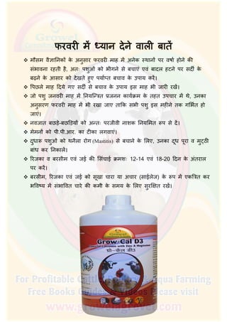  मौसम वैज्ञािनक के अनुसार फरवरी माह म अनेक थान पर वषार् होने की
संभावना रहती है, अतः पशुओं को भीगने से बचाएं एवं बादल हटने पर सदीर् के
बढ़ने के आसार को देखते हुए पयार् त बचाव के उपाय कर।
 िपछले माह िदये गए सदीर् से बचाव के उपाय इस माह भी जारी रख।
 जो पशु जनवरी माह म िनयि त्रत प्रजनन कायर्क्रम के तहत उपचार म थे, उनका
अनुसरण फरवरी माह म भी रखा जाए तािक सभी पशु इस महीने तक गिभर्त हो
जाएं।
 नवजात बछड़े-बछिड़य को अ तः परजीवी नाशक िनयिमत प से द।
 मेमन को पी.पी.आर. का टीका लगवाएं।
 दुधा पशुओं को थनैला रोग (Mastitis) से बचाने के िलए, उनका दूध पूरा व मु ठी
बांध कर िनकाल।
 िरजका व बरसीम एवं जई की िसंचाई क्रमशः 12-14 एवं 18-20 िदन के अंतराल
पर कर।
 बरसीम, िरजका एवं जई को सूखा चारा या अचार (साईलेज) के प म एकित्रत कर
भिव य म संभािवत चारे की कमी के समय के िलए सुरिक्षत रख।
 