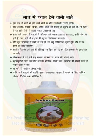  इस माह से गमीर् म होने वाले रोग के प्रित सावधानी रखनी होगी।
 यिद म छर, मक्खी, चींचड़, आिद, जीव की संख्या म वृ िध हो रही हो, तो इनसे
फै लने वाले रोग से बचाव करना आव यक है।
 आने वाले समय म पशुओं म बाँझपन एवं फु राव (Johne’s disease), आिद रोग भी
होते ह, अतः ऐसे म पशुओं की तुर त िचिक सा करवाएं।
 यिद दूध उ पादन म कमी हो रही हो, तो पशु िचिक सक वारा दूध और पेशाब,
दोन की जाँच करवाएं।
 बरसीम-िरजका एवं जई की िसंचाइ 10 िदन एवं 12-14 िदन क्रमशः के अ तराल
पर कर।
 ग्री मकाल म हरे चारे हेतु मक्का, बाजरा एवं वार की बोवाई कर।
 बहुऋतुजीवी चारा घास जैसे हाईिब्रड नेिपयर, िगनी घास, इ यािद की रोपाई पहले से
तैयार खेत म कर।
 हरे चारे से साईलेज तैयार कर।
 याँने वाले पशुओं को प्रसूित बुखार (Puerperal Fever) से बचाने के िलए खिनज
िम ण 50-60 ग्राम प्रितिदन द।
 
