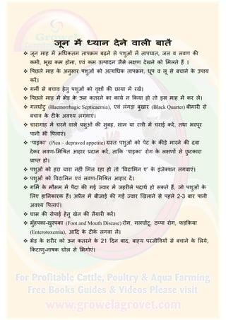  जून माह म अिधकतम तापक्रम बढ़ने से पशुओं म तापघात, जल व लवण की
कमी, भूख कम होना, एवं कम उ पादन जैसे लक्षण देखने को िमलते ह ।
 िपछले माह के अनुसार पशुओं को अ यिधक तापक्रम, धूप व लू से बचाने के उपाय
कर।
 गमीर् से बचाव हेतु पशुओं को वृक्ष की छाया म रख।
 िपछले माह म भेड़ के ऊन कतरने का कायर् न िकया हो तो इस माह म कर ल।
 गलघ टु (Haemorrhagic Septicaemia), एवं लंगड़ा बुखार (Black Quarter) बीमारी से
बचाव के टीके अव य लगवाएं।
 चारागाह म चरने वाले पशुओं की सुबह, शाम या रात्री म चराई कर, तथा भरपूर
पानी भी िपलाएं।
 ‘पाइका’ (Pica – depraved appetite) ग्र त पशुओं को पेट के कीड़े मारने की दवा
देकर लवण-िमि त आहार प्रदान कर, तािक ‘पाइका’ रोग के लक्षण से छु टकारा
प्रा त हो।
 पशुओं को हरा चारा नहीं िमल रहा हो तो ‘िवटािमन ए’ के इंजेक्शन लगवाएं।
 पशुओं को िवटािमन एवं लवण-िमि त आहार द।
 गिमर् के मौसम म पैदा की गई वार म जहरीले पदाथर् हो सकते ह, जो पशुओं के
िलए हािनकारक ह। अप्रैल म बीजाई की गई वार िखलाने से पहले 2-3 बार पानी
अव य िपलाएं।
 घास की रोपाई हेतु खेत की तैयारी कर।
 मुँहपका-खुरपका (Foot and Mouth Disease) रोग, गलघ टू, ठ पा रोग, फड़िकया
(Enterotoxemia), आिद के टीके लगवा ल।
 भेड़ के शरीर को ऊन कतरने के 21 िदन बाद, बा य परजीिवय से बचाने के िलये,
िकटाणु-नाषक घोल से िभगोएं।
 