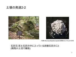 5
土壌の発達2-2
石灰石:苦土石灰の中に入っている炭酸石灰のこと
(鞍馬川上流で撮影)
写真:http://ja.wikipedia.org/wiki/炭酸カルシウムより引用
 