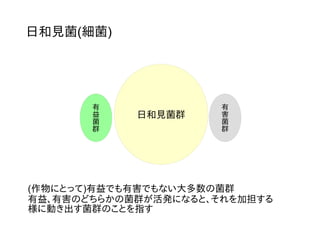 日和見菌(細菌)
日和見菌群
有
益
菌
群
有
害
菌
群
(作物にとって)有益でも有害でもない大多数の菌群
有益、有害のどちらかの菌群が活発になると、それを加担する
様に動き出す菌群のことを指す
 