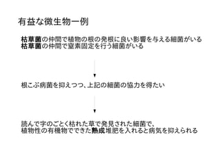 有益な微生物一例
枯草菌の仲間で植物の根の発根に良い影響を与える細菌がいる
枯草菌の仲間で窒素固定を行う細菌がいる
根こぶ病菌を抑えつつ、上記の細菌の協力を得たい
読んで字のごとく枯れた草で発見された細菌で、
植物性の有機物でできた熟成堆肥を入れると病気を抑えられる
 