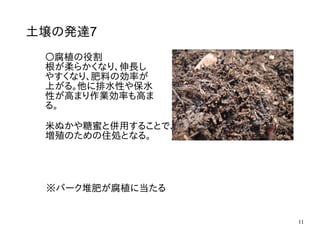 11
土壌の発達7
〇腐植の役割
根が柔らかくなり、伸長し
やすくなり、肥料の効率が
上がる。他に排水性や保水
性が高まり作業効率も高ま
る。
米ぬかや糖蜜と併用することで、植物に有益な微生物の
増殖のための住処となる。
※バーク堆肥が腐植に当たる
 