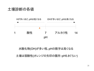 21
土壌診断の各値
水酸化物(OH)が多い程、pHの数字は高くなる
pH
Hが多いほど、pHは低くなる
1 7 14
OHが多いほど、pHは高くなる
酸性 アルカリ性
土壌は弱酸性(オレンジの矢印の箇所：pH5.8ぐらい)
 