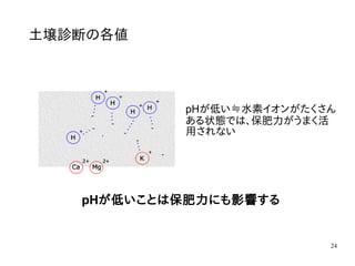 24
土壌診断の各値
pHが低い≒水素イオンがたくさん
ある状態では、保肥力がうまく活
用されない
pHが低いことは保肥力にも影響する
 