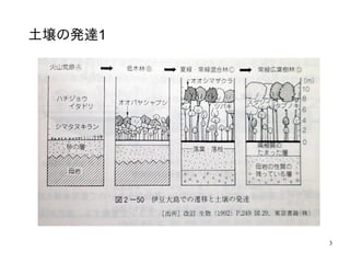 3
土壌の発達1
 
