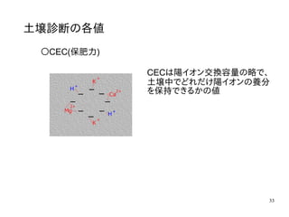 33
土壌診断の各値
〇CEC(保肥力)
CECは陽イオン交換容量の略で、
土壌中でどれだけ陽イオンの養分
を保持できるかの値
 