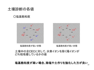 35
土壌診断の各値
〇塩基飽和度
土壌中の全CECに対して、水素イオンを除く陽イオンが
どれ程吸着しているかの値
塩基飽和度が低い状態 塩基飽和度が高い状態
塩基飽和度が高い場合、除塩や土作りを強化した方が良い
 