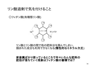 44
〇フィチン酸(有機態リン酸)
リン酸過剰で気を付けること
リン酸とリン酸の間で他の肥料分を掴んでしまい、
掴まれた成分も利用できなくなる(慢性的なミネラル欠乏)
家畜糞ばかり使っているところで年々いろんな肥料の
肥効が落ちていく現象はフィチン酸の蓄積では？
 