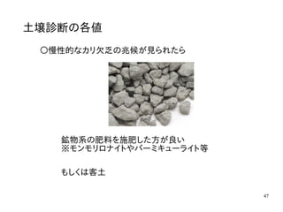 47
土壌診断の各値
〇慢性的なカリ欠乏の兆候が見られたら
鉱物系の肥料を施肥した方が良い
※モンモリロナイトやバーミキューライト等
もしくは客土
 