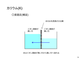 50
カリウム(K)
〇浸透圧(補足)
 
