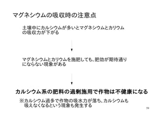 59
マグネシウムの吸収時の注意点
土壌中にカルシウムが多いとマグネシウムとカリウム
の吸収力が下がる
マグネシウムとカリウムを施肥しても、肥効が期待通り
にならない現象がある
カルシウム系の肥料の過剰施用で作物は不健康になる
※カルシウム過多で作物の吸水力が落ち、カルシウムも
　吸えなくなるという現象も発生する
 