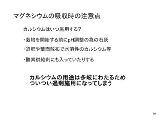 60
マグネシウムの吸収時の注意点
カルシウムはいつ施用する？
・栽培を開始する前にpH調整の為の石灰
カルシウムの用途は多岐にわたるため
ついつい過剰施用になってしまう
・追肥や葉面散布で水溶性のカルシウム等
・酸素供給剤にも入っていたりする
 