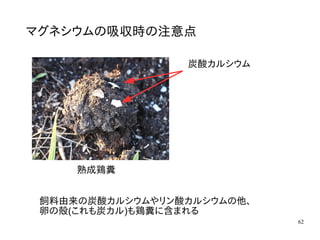 62
マグネシウムの吸収時の注意点
炭酸カルシウム
熟成鶏糞
飼料由来の炭酸カルシウムやリン酸カルシウムの他、
卵の殻(これも炭カル)も鶏糞に含まれる
 