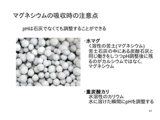65
マグネシウムの吸収時の注意点
pHは石灰でなくても調整することができる
・水マグ
　く溶性の苦土(マグネシウム)
　苦土石灰の中にある炭酸石灰と
　同じ働きをしつつpH調整後に残
　るのがカルシウムではなく、
　マグネシウム
・重炭酸カリ
　水溶性のカリウム
　水に溶けた瞬間にpHを調整する
 