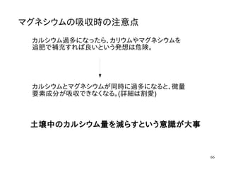 66
マグネシウムの吸収時の注意点
カルシウム過多になったら、カリウムやマグネシウムを
追肥で補充すれば良いという発想は危険。
カルシウムとマグネシウムが同時に過多になると、微量
要素成分が吸収できなくなる。(詳細は割愛)
土壌中のカルシウム量を減らすという意識が大事
 