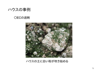 71
ハウスの事例
〇ECの過剰
ハウスの土に白い粉が吹き始める
 