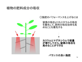 79
植物の肥料成分の吸収
〇施肥のパフォーマンスを上げるには
窒素の吸収よりもミネラルの吸収
を優先して、肥料の吸収効率を高
めることを優先する
カリウムとマグネシウムで根量
が増やしてから、窒素の吸収を
高めることができる
バランスの良い施肥
 
