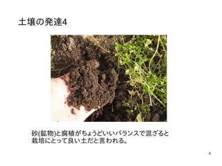 8
土壌の発達4
砂(鉱物)と腐植がちょうどいいバランスで混ざると
栽培にとって良い土だと言われる。
 