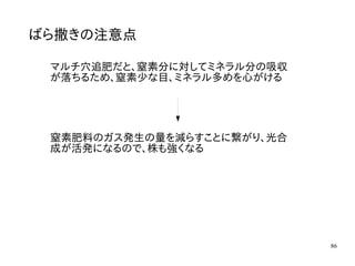 86
ばら撒きの注意点
マルチ穴追肥だと、窒素分に対してミネラル分の吸収
が落ちるため、窒素少な目、ミネラル多めを心がける
窒素肥料のガス発生の量を減らすことに繋がり、光合
成が活発になるので、株も強くなる
 