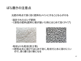 87
ばら撒きの注意点
元肥の時点で長く効く肥料をメインにすることを心がける
・設計されたロング肥料
・く溶性の肥料(肥料に根が届いた時にはじめて効くタイプ)
・粉状よりも粒状(苦土等)
→肥料は水に溶けてはじめて効く。粒状だと水に溶けにくい
　ので、長く緩く効く様になる
 
