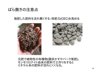 88
ばら撒きの注意点
施肥した肥料を流れ難くする：保肥力(CEC)を高める
元肥で植物性の有機物(菌床かすやバーク堆肥)、
モンモリロナイト由来の肥料で土作りをすると
ミネラル系の肥料が流れにくくなる。
 
