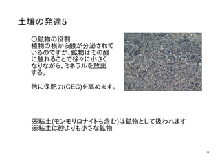 9
土壌の発達5
〇鉱物の役割
植物の根から酸が分泌されて
いるのですが、鉱物はその酸
に触れることで徐々に小さく
なりながら、ミネラルを放出
する。
他に保肥力(CEC)を高めます。
※粘土(モンモリロナイトも含む)は鉱物として扱われます
※粘土は砂よりも小さな鉱物
 