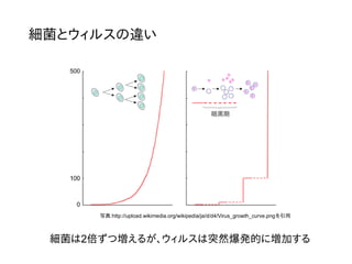 細菌とウィルスの違い
写真:http://upload.wikimedia.org/wikipedia/ja/d/d4/Virus_growth_curve.pngを引用
細菌は2倍ずつ増えるが、ウィルスは突然爆発的に増加する
 