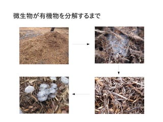 微生物が有機物を分解するまで
 
