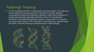 Կրկնակի Պարույր
 ԴՆԹ-ի պոլիմերը օժտված է բավականին բարդ կառույցով։ Նույն շղթայում
նուկլեոտիդները միմյանց միացած են կովալենտ կապերի միջոցով՝
առաջացնելով պոլինուկլեոտիդային շղթաներ։ Գրեթե բոլոր դեպքերում 2
պոլինուկլեոտիդային շղթաները միմյանց միանում են ջրածնական
կապերով՝ առաջացնելով կրկնակի պարույր. բացառություն են կազմում
որոշ վիրուսներ, որոնց ԴՆԹ-ն միաշղթա է։ Յուրաքանչյուր շղթայի հիմքը
կազմված է միմյանց հաջորդող ֆոսֆատներից և ածխաջրերից։
 