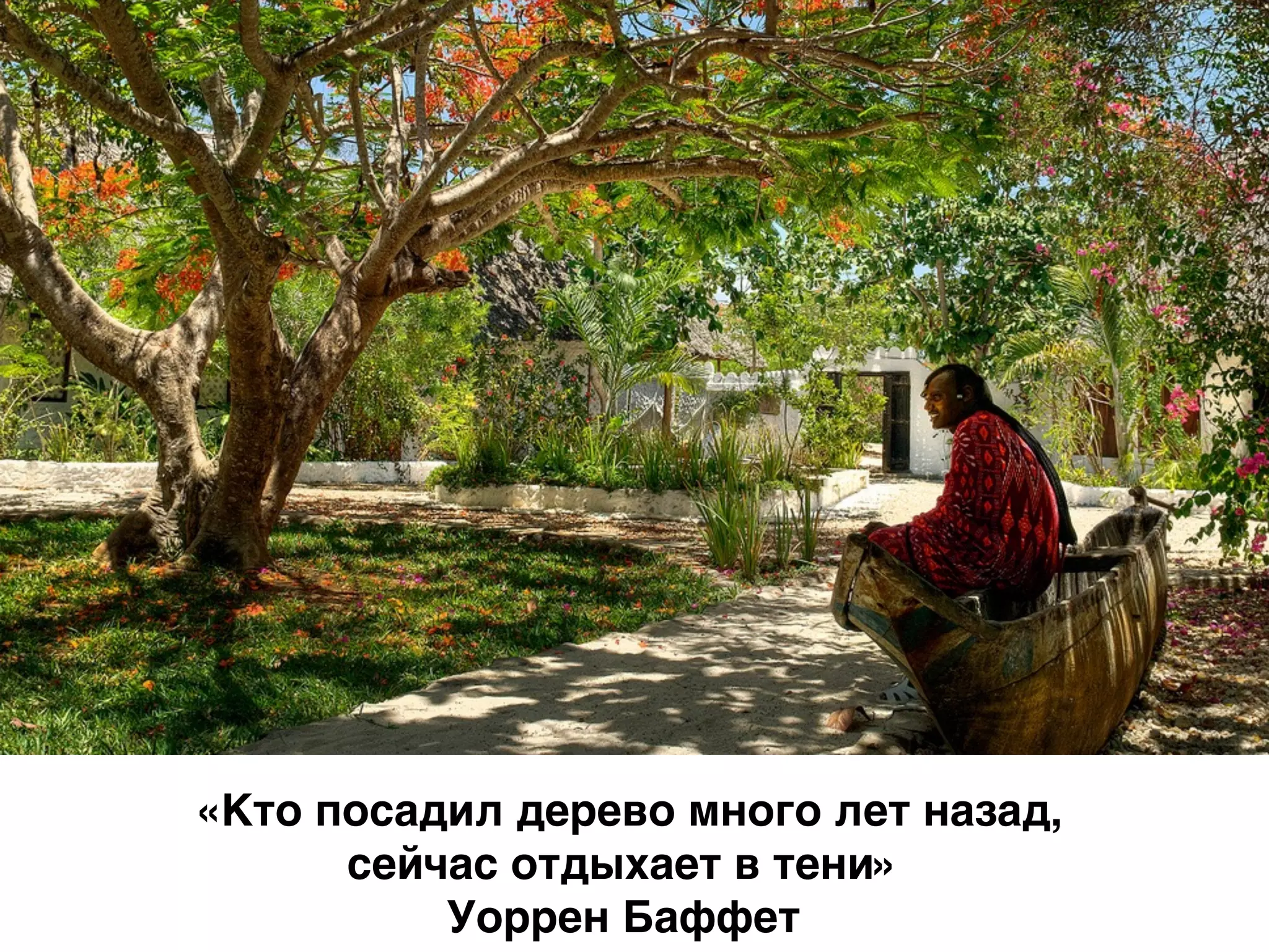 «Кто посадил дерево много лет назад,
сейчас отдыхает в тени»
Уоррен Баффет
 