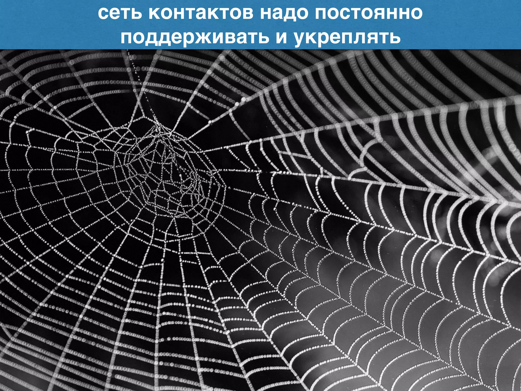 сеть контактов надо постоянно
поддерживать и укреплять
 