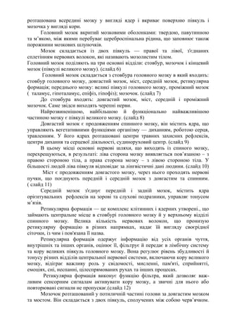 розташована всередині мозку у вигляді ядер і вкриває поверхню півкуль і
мозочка у вигляді кори.
Головний мозок вкритий мозковими оболонками: твердою, павутинною
та м’якою, між якими перебуває цереброспінальна рідина, що заповнює також
порожнини мозкових шлуночків.
Мозок складається із двох півкуль — правої та лівої, з'єднаних
сплетінням нервових волокон, які називають мозолистим тілом.
Головний мозок поділяють на три основні відділи: стовбур, мозочок і кінцевий
мозок (півкулі великого мозку). (слайд 6)
Головний мозок складається з стовбура головного мозку в який входить:
стовбур головного мозку, довгастий мозок, міст, середній мозок, ретикулярна
формація; переднього мозку: великі півкулі головного мозку, проміжний мозок
( таламус, гіпоталамус, епіфіз, гіпофіз); мозочок. (слайд 7)
До стовбура входять: довгастий мозок, міст, середній і проміжний
мозочок. Саме звідси виходять черепні нерви.
Найрозвиненішою, найбільшою й функціонально найважливішою
частиною мозку є півкулі великого мозку. (слайд 8)
Довгастий мозок є продовженням спинного мозку, він містить ядра, що
управляють вегетативними функціями організму — диханням, роботою серця,
травленням. У його ядрах розташовані центри травних захисних рефлексів,
центри дихання та серцевої діяльності, судиноруховий центр. (слайд 9)
В цьому місці основні нервові шляхи, що виходять із спиного мозку,
перехрещуються, в результаті: ліва сторона мозку виявляється пов’язаною – з
правою стороною тіла, а права сторона мозку – з лівою стороною тіла. У
більшості людей ліва півкуля відповідає за лінгвістичні дані людини. (слайд 10)
Міст є продовженням довгастого мозку, через нього проходять нервові
пучки, що поєднують передній і середній мозок з довгастим та спинним.
( слайд 11)
Середній мозок з'єднує передній і задній мозок, містить ядра
орієнтувальних рефлексів на зорові та слухові подразники, управляє тонусом
м’язів.
Ретикулярна формація — це комплекс клітинних і ядерних утворені., що
займають центральне місце в стовбурі головного мозку й у верхньому відділі
спинного мозку. Велика кількість нервових волокон, що пронизую
ретикулярну формацію в різних напрямках, надає їй вигляду своєрідної
сіточки, із чим і пов'язана її назва.
Ретикулярна формація одержує інформацію від усіх органів чуття,
внутрішніх та інших органів, оцінює її, фільтрує й передає в лімбічну систему
та кору великих півкуль головного мозку. Вона регулює рівень збудливості й
тонусу різних відділів центральної нервової системи, включаючи кору великого
мозку, відіграє важливу роль у свідомості, мисленні, пам'яті, сприйнятті,
емоціях, сні, неспанні, цілеспрямованих рухах та інших процесах.
Ретикулярна формація виконує функцію фільтра, який дозволяє важ-
ливим сенсорним сигналам активувати кору мозку, а звичні для нього або
повторювані сигнали не пропускає.(слайд 12)
Мозочок розташований у потиличній частині голови за довгастим мозком
та мостом. Він складається з двох півкуль, сполучених між собою черв’ячком.
 