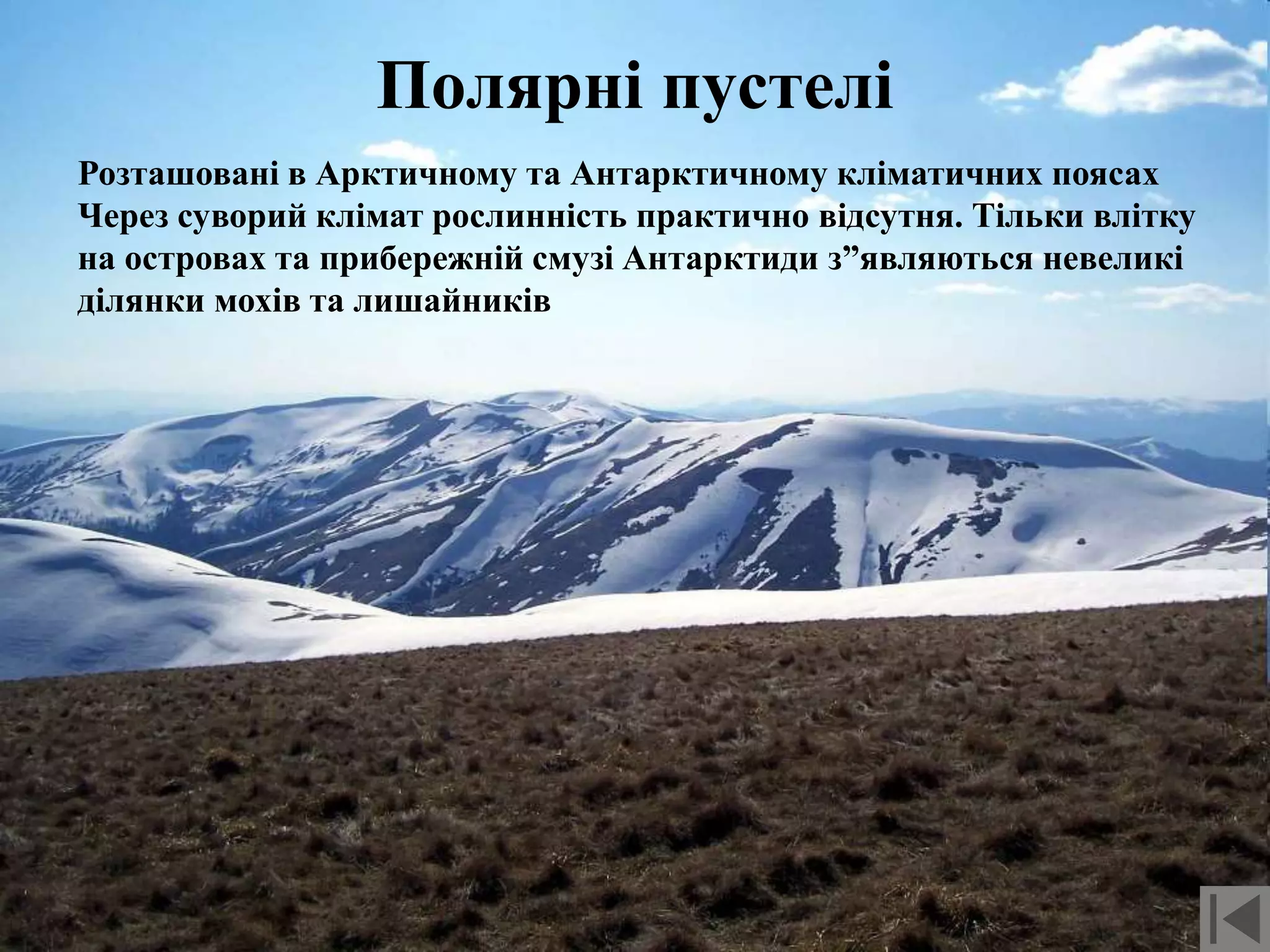 Полярні пустелі
Розташовані в Арктичному та Антарктичному кліматичних поясах
Через суворий клімат рослинність практично відсутня. Тільки влітку
на островах та прибережній смузі Антарктиди з”являються невеликі
ділянки мохів та лишайників
 