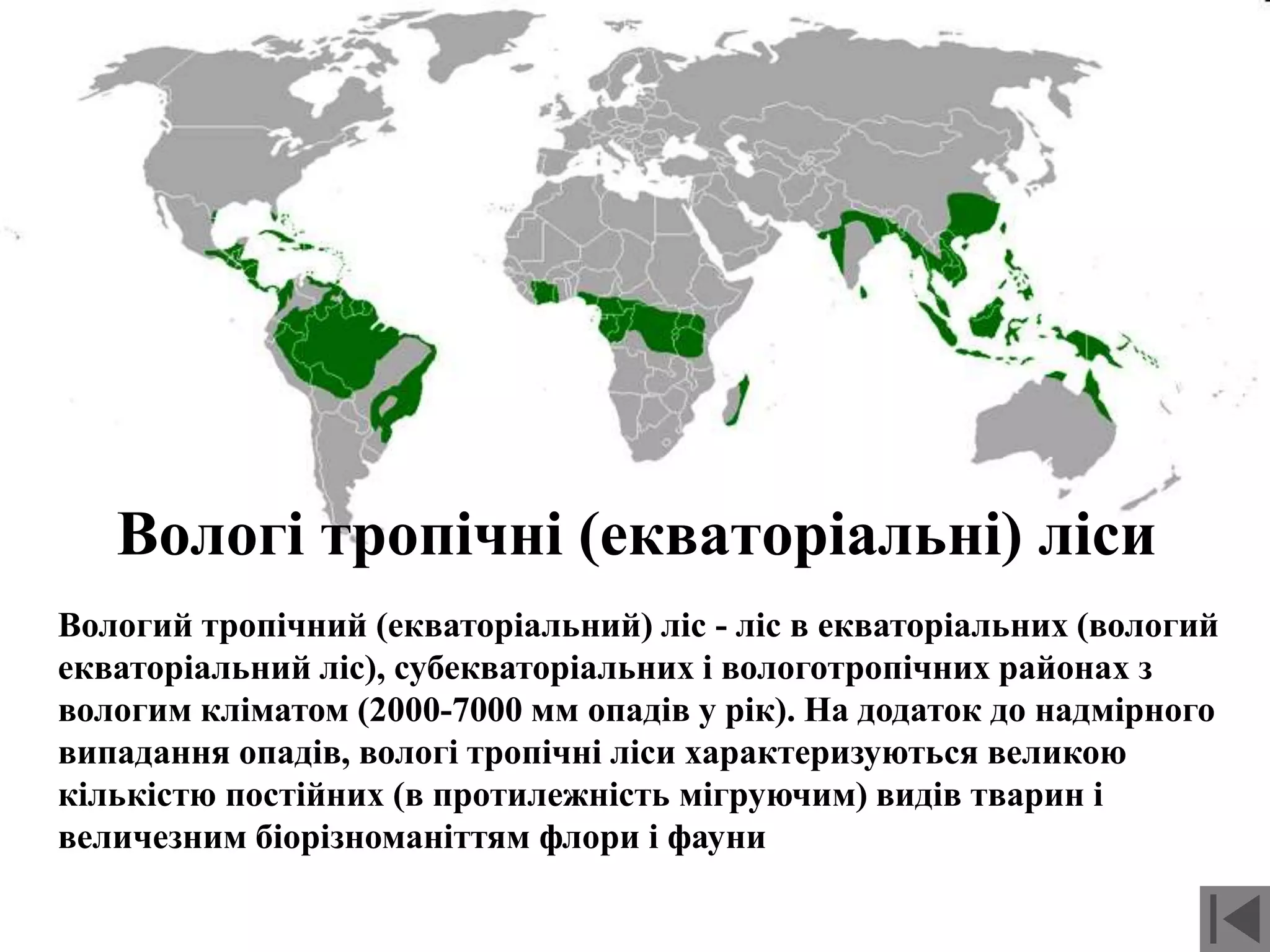 Вологі тропічні (екваторіальні) ліси
Вологий тропічний (екваторіальний) ліс - ліс в екваторіальних (вологий
екваторіальний ліс), субекваторіальних і вологотропічних районах з
вологим кліматом (2000-7000 мм опадів у рік). На додаток до надмірного
випадання опадів, вологі тропічні ліси характеризуються великою
кількістю постійних (в протилежність мігруючим) видів тварин і
величезним біорізноманіттям флори і фауни
 
