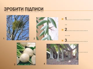 ЗРОБИТИ ПІДПИСИ
 1…………......
..
 2……………
….
 3……………
….
 4……………
….
1 2
3 4
 