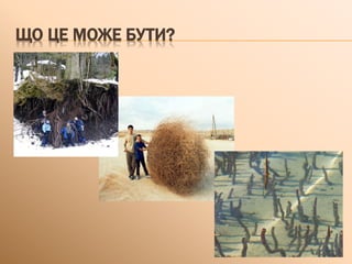 ЩО ЦЕ МОЖЕ БУТИ?
 