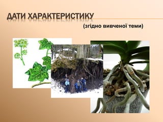 ДАТИ ХАРАКТЕРИСТИКУ
(згідно вивченої теми)
 