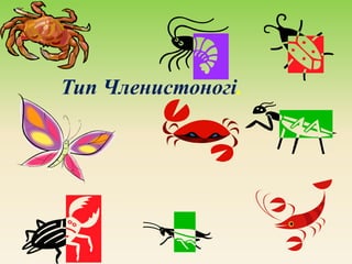 Тип Членистоногі.
 