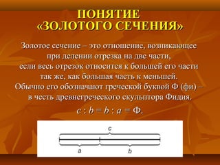 золотое сечение | PPT
