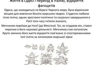 Мечников | PPT