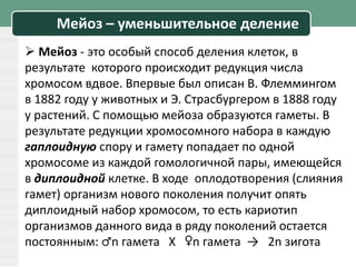 Мейоз – уменьшительное деление
 Мейоз - это особый способ деления клеток, в
результате которого происходит редукция числа
хромосом вдвое. Впервые был описан В. Флеммингом
в 1882 году у животных и Э. Страсбургером в 1888 году
у растений. С помощью мейоза образуются гаметы. В
результате редукции хромосомного набора в каждую
гаплоидную спору и гамету попадает по одной
хромосоме из каждой гомологичной пары, имеющейся
в диплоидной клетке. В ходе оплодотворения (слияния
гамет) организм нового поколения получит опять
диплоидный набор хромосом, то есть кариотип
организмов данного вида в ряду поколений остается
постоянным: ♂n гамета X ♀n гамета → 2n зигота
 