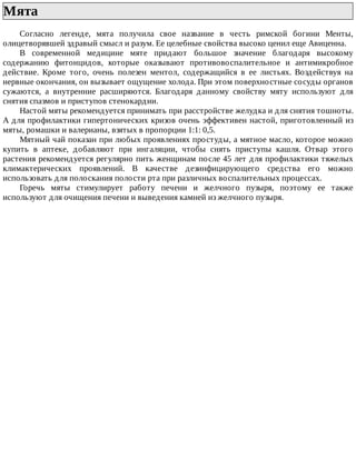 Мята	
Согласно	 легенде,	 мята	 получила	 свое	 название	 в	 честь	 римской	 богини	 Менты,
олицетворявшей	здравый	смысл	и	разум.	Ее	целебные	свойства	высоко	ценил	еще	Авиценна.
В	 современной	 медицине	 мяте	 придают	 большое	 значение	 благодаря	 высокому
содержанию	 фитонцидов,	 которые	 оказывают	 противовоспалительное	 и	 антимикробное
действие.	 Кроме	 того,	 очень	 полезен	 ментол,	 содержащийся	 в	 ее	 листьях.	 Воздействуя	 на
нервные	окончания,	он	вызывает	ощущение	холода.	При	этом	поверхностные	сосуды	органов
сужаются,	 а	 внутренние	 расширяются.	 Благодаря	 данному	 свойству	 мяту	 используют	 для
снятия	спазмов	и	приступов	стенокардии.
Настой	мяты	рекомендуется	принимать	при	расстройстве	желудка	и	для	снятия	тошноты.
А	для	профилактики	гипертонических	кризов	очень	эффективен	настой,	приготовленный	из
мяты,	ромашки	и	валерианы,	взятых	в	пропорции	1:1:	0,5.
Мятный	чай	показан	при	любых	проявлениях	простуды,	а	мятное	масло,	которое	можно
купить	 в	 аптеке,	 добавляют	 при	 ингаляции,	 чтобы	 снять	 приступы	 кашля.	 Отвар	 этого
растения	рекомендуется	регулярно	пить	женщинам	после	45	лет	для	профилактики	тяжелых
климактерических	 проявлений.	 В	 качестве	 дезинфицирующего	 средства	 его	 можно
использовать	для	полоскания	полости	рта	при	различных	воспалительных	процессах.
Горечь	 мяты	 стимулирует	 работу	 печени	 и	 желчного	 пузыря,	 поэтому	 ее	 также
используют	для	очищения	печени	и	выведения	камней	из	желчного	пузыря.
 