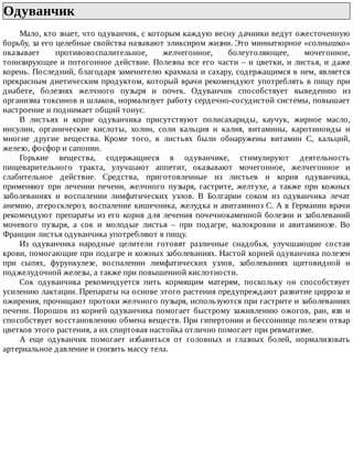 Одуванчик	
Мало,	кто	знает,	что	одуванчик,	с	которым	каждую	весну	дачники	ведут	ожесточенную
борьбу,	за	его	целебные	свойства	называют	эликсиром	жизни.	Это	миниатюрное	«солнышко»
оказывает	 противовоспалительное,	 желчегонное,	 болеутоляющее,	 мочегонное,
тонизирующее	и	потогонное	действие.	Полезны	все	его	части	–	и	цветки,	и	листья,	и	даже
корень.	Последний,	благодаря	заменителю	крахмала	и	сахару,	содержащимся	в	нем,	является
прекрасным	диетическим	продуктом,	который	врачи	рекомендуют	употреблять	в	пищу	при
диабете,	 болезнях	 желчного	 пузыря	 и	 почек.	 Одуванчик	 способствует	 выведению	 из
организма	токсинов	и	шлаков,	нормализует	работу	сердечно-сосудистой	системы,	повышает
настроение	и	поднимает	общий	тонус.
В	 листьях	 и	 корне	 одуванчика	 присутствуют	 полисахариды,	 каучук,	 жирное	 масло,
инсулин,	 органические	 кислоты,	 холин,	 соли	 кальция	 и	 калия,	 витамины,	 каротиноиды	 и
многие	 другие	 вещества.	 Кроме	 того,	 в	 листьях	 были	 обнаружены	 витамин	 С,	 кальций,
железо,	фосфор	и	сапонин.
Горькие	 вещества,	 содержащиеся	 в	 одуванчике,	 стимулируют	 деятельность
пищеварительного	 тракта,	 улучшают	 аппетит,	 оказывают	 мочегонное,	 желчегонное	 и
слабительное	 действие.	 Средства,	 приготовленные	 из	 листьев	 и	 корня	 одуванчика,
применяют	 при	 лечении	 печени,	 желчного	 пузыря,	 гастрите,	 желтухе,	 а	 также	 при	 кожных
заболеваниях	 и	 воспалении	 лимфатических	 узлов.	 В	 Болгарии	 соком	 из	 одуванчика	 лечат
анемию,	атеросклероз,	воспаление	кишечника,	желудка	и	авитаминоз	С.	А	в	Германии	врачи
рекомендуют	препараты	из	его	корня	для	лечения	почечнокаменной	болезни	и	заболеваний
мочевого	 пузыря,	 а	 сок	 и	 молодые	 листья	 –	 при	 подагре,	 малокровии	 и	 авитаминозе.	 Во
Франции	листья	одуванчика	употребляют	в	пищу.
Из	 одуванчика	 народные	 целители	 готовят	 различные	 снадобья,	 улучшающие	 состав
крови,	помогающие	при	подагре	и	кожных	заболеваниях.	Настой	корней	одуванчика	полезен
при	 сыпях,	 фурункулезе,	 воспалении	 лимфатических	 узлов,	 заболеваниях	 щитовидной	 и
поджелудочной	железы,	а	также	при	повышенной	кислотности.
Сок	 одуванчика	 рекомендуется	 пить	 кормящим	 матерям,	 поскольку	 он	 способствует
усилению	лактации.	Препараты	на	основе	этого	растения	предупреждают	развитие	цирроза	и
ожирения,	прочищают	протоки	желчного	пузыря,	используются	при	гастрите	и	заболеваниях
печени.	Порошок	из	корней	одуванчика	помогает	быстрому	заживлению	ожогов,	ран,	язв	и
способствует	восстановлению	обмена	веществ.	При	гипертонии	и	бессоннице	полезен	отвар
цветков	этого	растения,	а	их	спиртовая	настойка	отлично	помогает	при	ревматизме.
А	 еще	 одуванчик	 помогает	 избавиться	 от	 головных	 и	 глазных	 болей,	 нормализовать
артериальное	давление	и	снизить	массу	тела.
 